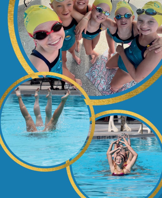 suncoast swimmers