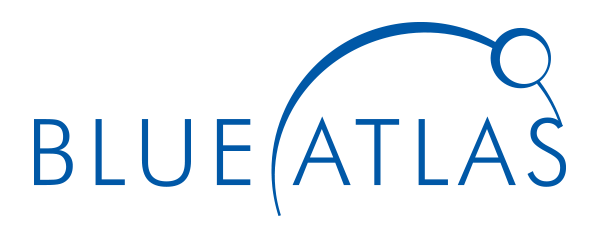 B2B Marketing Company | Blue Atlas Marketing